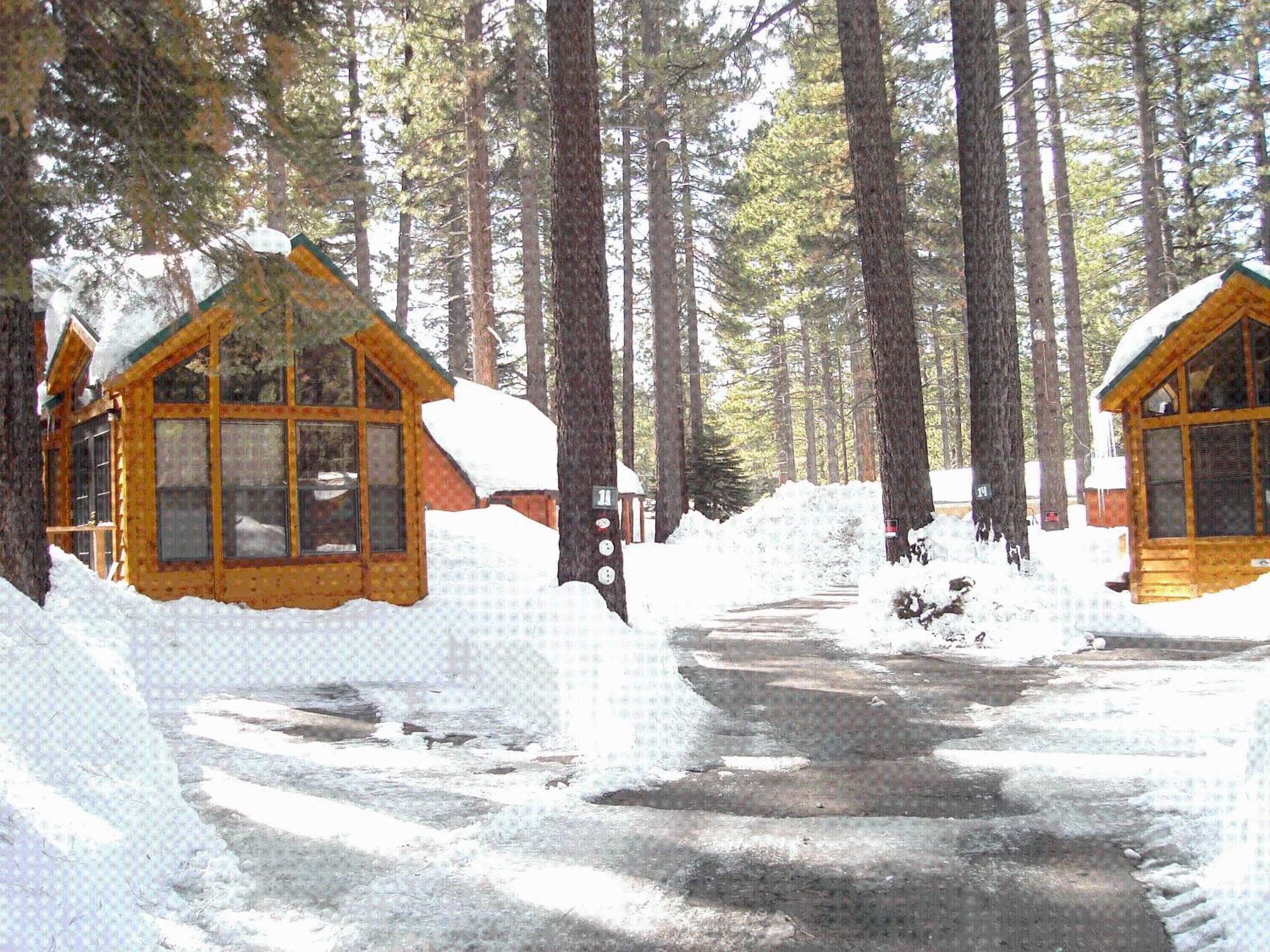 Cedar Pines Resort South Lake Tahoe Εξωτερικό φωτογραφία